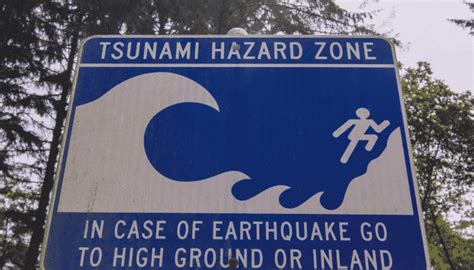 The Indian Ocean Tsunami Warning System : How Can it Help the Shipping ...