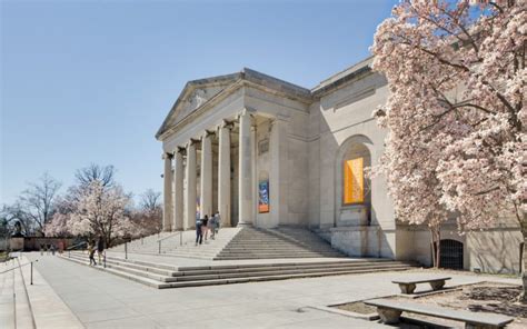 A Guide to Baltimore Museums - Baltimore Magazine