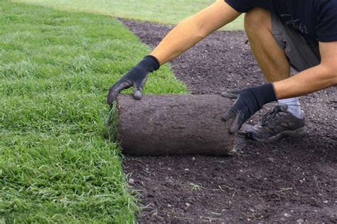 Turf laying | Turf installation, Sloped yard, Landscaping a slope