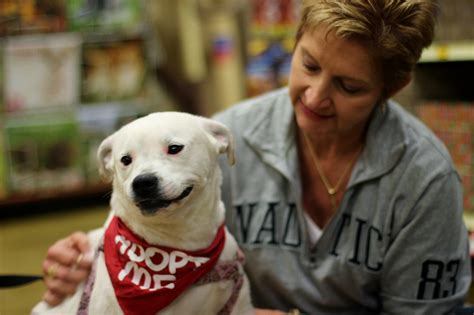 Adoptable Dogs and Cats at Petsmart Saturday, October 31, 11a to 3p – The Humane Society of ...