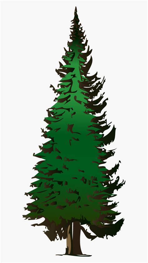 clip art fir tree 20 free Cliparts | Download images on Clipground 2024