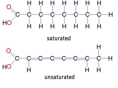 This is a polymer of a lipid,