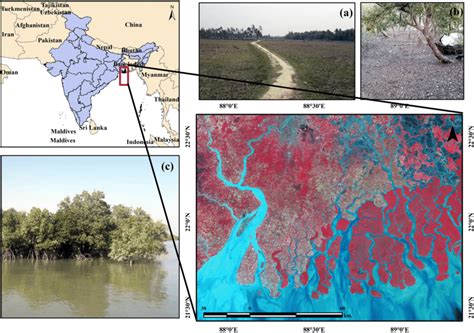 The location map of this study area. Indian Ganga Delta is a world ...