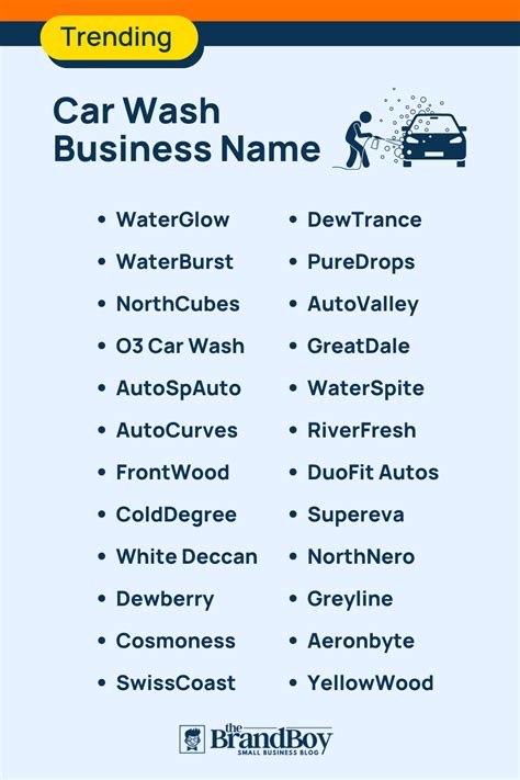 1003+ Car Wash Business Names Ideas (Video+ Infographic)