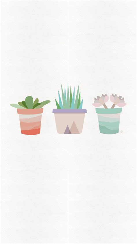 Minimalist Cactus iPhone Wallpapers - Top Free Minimalist Cactus iPhone Backgrounds ...