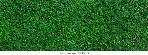 Green Grass Wall Texture Backdrop Design Stock Photo 532464115 ...