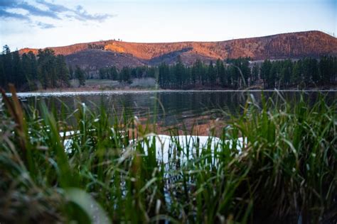 Fenton Lake State Park – The Lobo Life