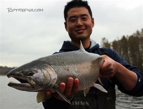 16 of the Best Skykomish River Fishing Spots