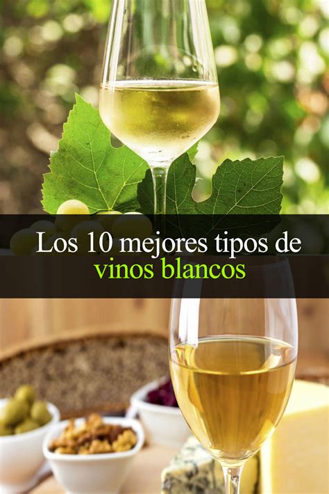 Los 10 mejores tipos de vinos blancos que debes probar - Tips Para Tu Viaje