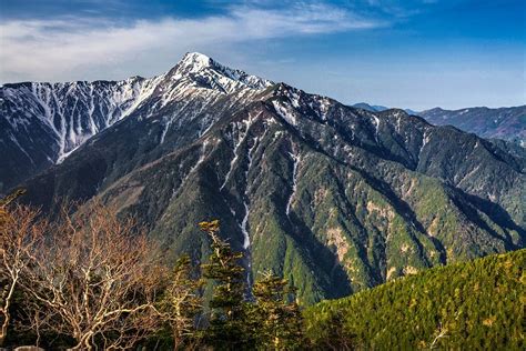 Honshu Alpine Conifer Forests | One Earth