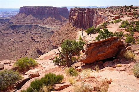 Easy Hike Epic Views Grand View Point Overlook Trail at Canyonlands