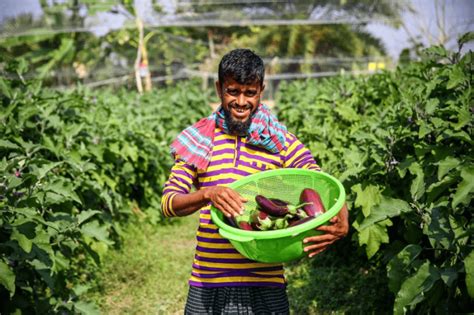 Bangladesh looks to agricultural technologies to address climate change ...