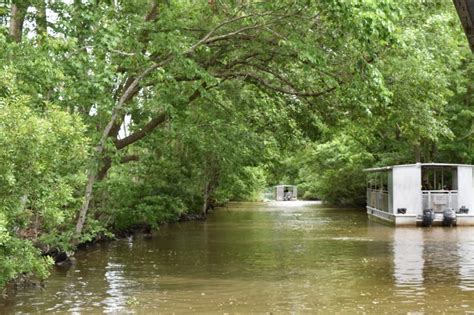 Jean Lafitte Swamp Tour | BigEasy.com