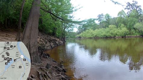 Cliffs of the Neuse State Park | Family Friendly | Trail Navigator