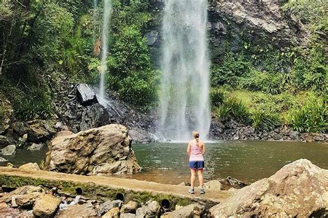 Hiking in Springbrook National Park, QLD | Snowys Blog