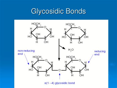 Biochemistry What Is The Difference Between A Glycosidic