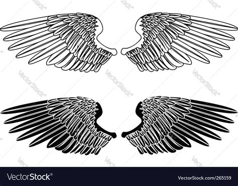 Spread wings Royalty Free Vector Image - VectorStock