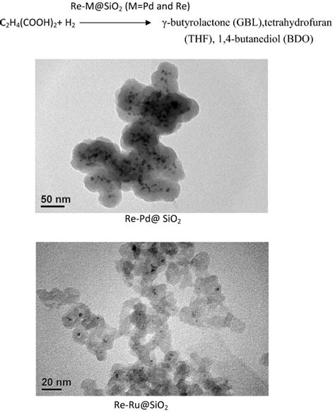 Hydrogenolysis of succinic acid over Ru and Pd catalysts encapsulated in porous silica ...