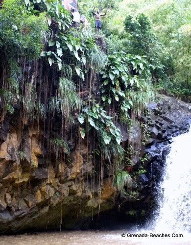 Jumping Off Annadale Waterfalls Grenada – Video