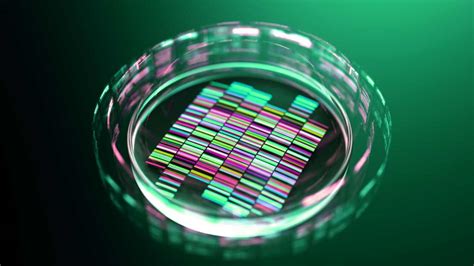 First CRISPR gene editing trial in cancer patients points to safety of technique in medical ...