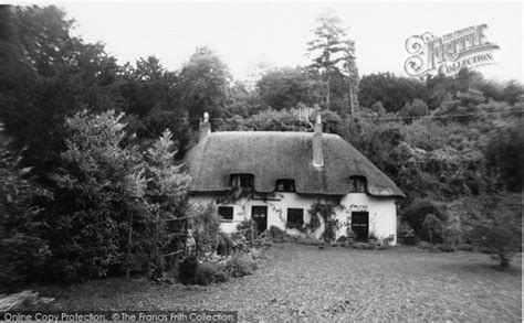 Photo of Milton Abbas, Milton Abbey, Green Walk c.1965