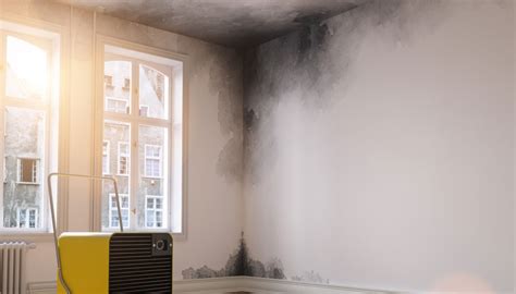 Residential Mold Removal Services in Sacramento