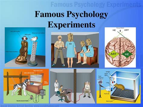 PPT - Famous Psychology Experiments PowerPoint Presentation - ID:457897