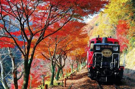 Sagano Scenic Railway: Romantic Train in Kyoto | JRailPass