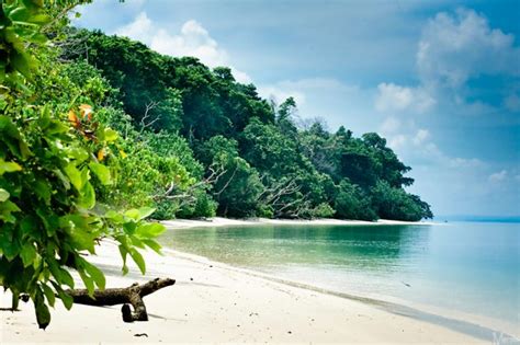 10 Unique Things to Do in Andaman & Nicobar Islands