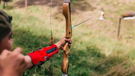 5 Best Beginner Recurve Bows In 2023