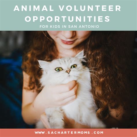 Animal Volunteer Opportunities in San Antonio for Kids | San Antonio ...