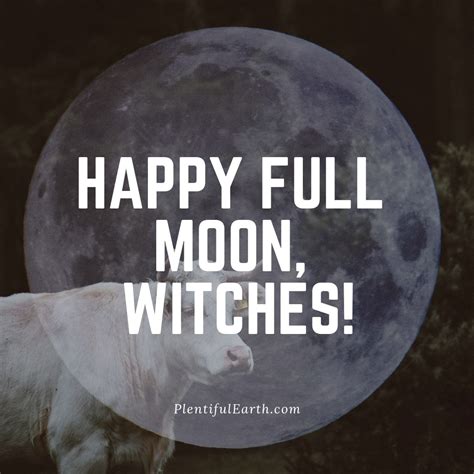 Happy Full Moon, Witches - Taurus