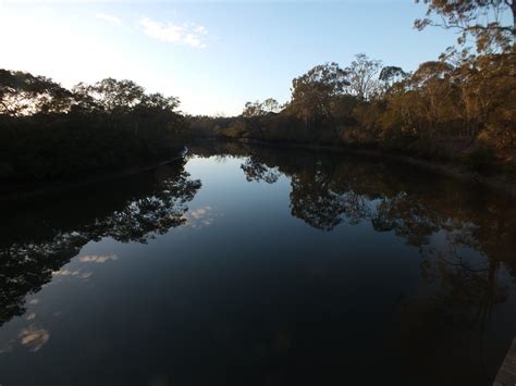 Early morning Tingalpa Creek in Winter | Andrew Anderson | Flickr