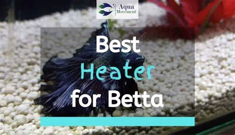 7 Best Heater For Betta Tank In 2023 | Aqua Movement