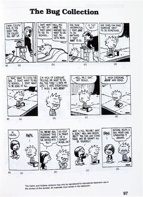 Hake's - "TEACHING WITH CALVIN AND HOBBES" SCHOOL WORKBOOK.