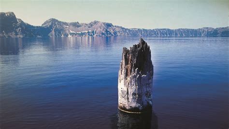 The 40′ Tree Stump That’s Been Floating Upright In Crater Lake For 100 ...