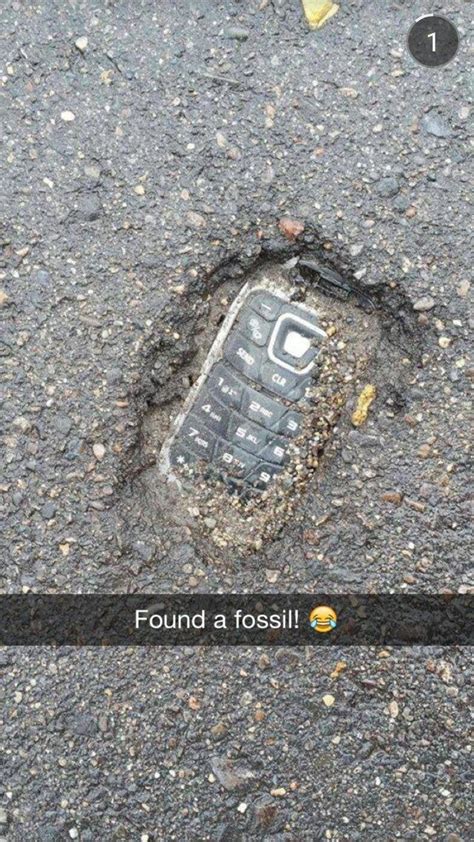 Found a fossil! - funny | Best funny pictures, Fossil, Funny memes