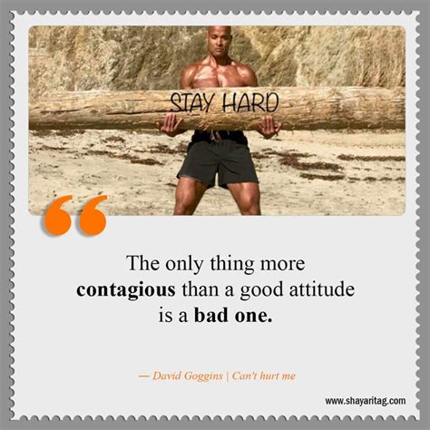 Best David Goggins Quotes | Can't hurt me book Quotes - shayaritag