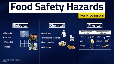 HACCP Food Safety Hazards | Food safety, Safety hazards, Food processor recipes