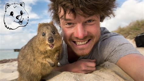 Quokka Selfie Tutorial - How to take Animal Selfies - Ultimate Guide - YouTube