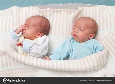 Sleeping Newborn Baby Twins