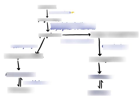 Diagram: 81. synthesis of glucocorticoids Diagram | Quizlet