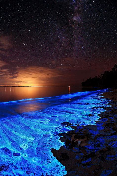 Plankton Bioluminescence ~ Tasmanian Bioluminescent Sea Bioluminescence ...