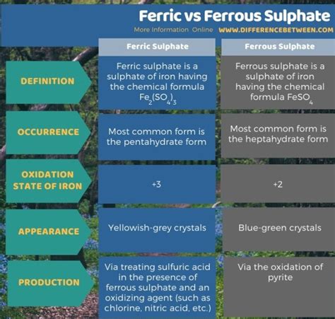 Difference Between Ferric and Ferrous Sulphate | Compare the Difference ...