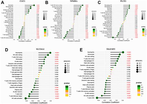 Novel diagnostic biomarkers of oxidative stress, immunological characterization and experimental ...