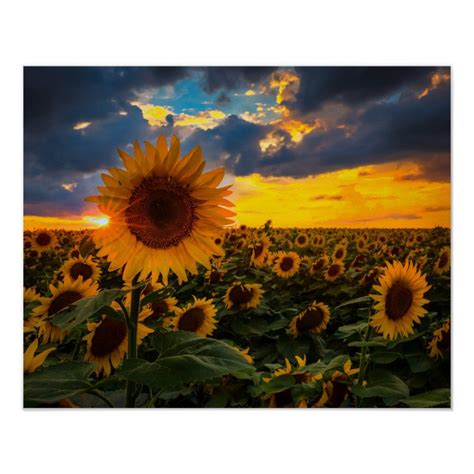 Field of sunflowers poster – Artofit
