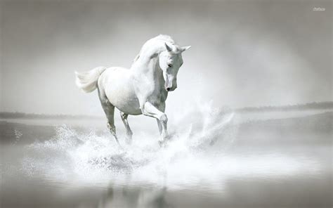 White Horse Wallpapers - Wallpaper Cave