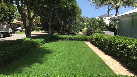 Perfect Empire Zoysia Lawn - YouTube