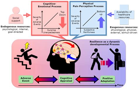 Dr Lee Believes That Cognitive Appraisal