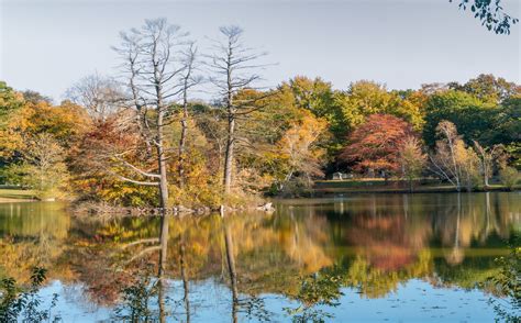 A Tour of Massachusetts Fall Foliage: Where to Go - Minneopa Orchards